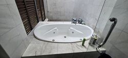 Braddell Heights Estate (D13), Detached #477002461